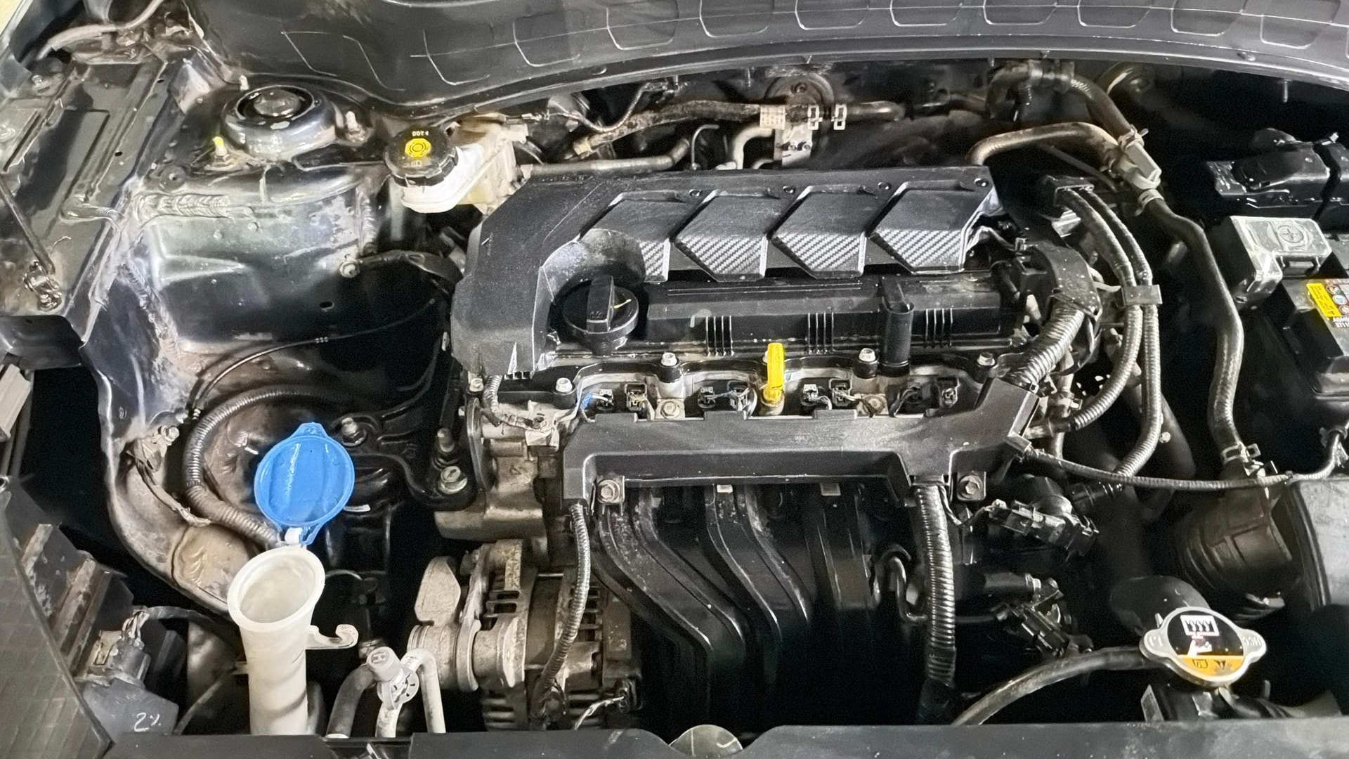 Used 2024 Kia Seltos Used 2024 Kia Seltos