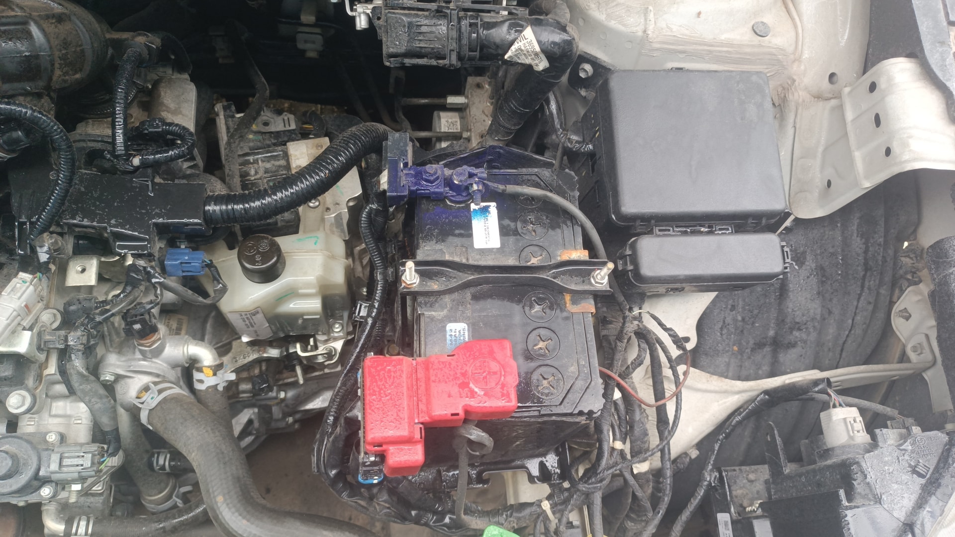 Used 2023 Toyota Glanza Used 2023 Toyota Glanza