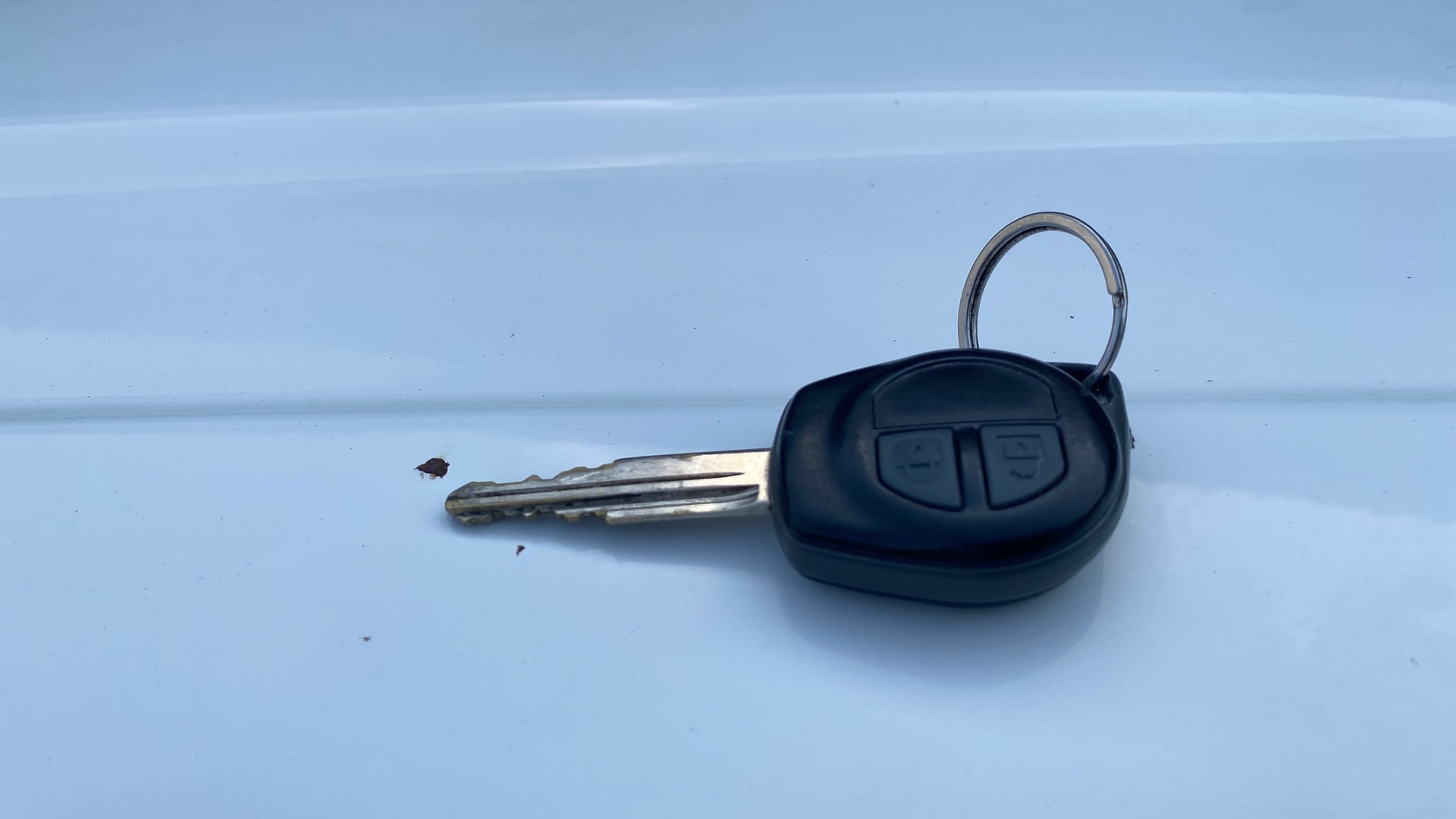Used 2023 Maruti Suzuki 1000 Used 2023 Maruti Suzuki 1000