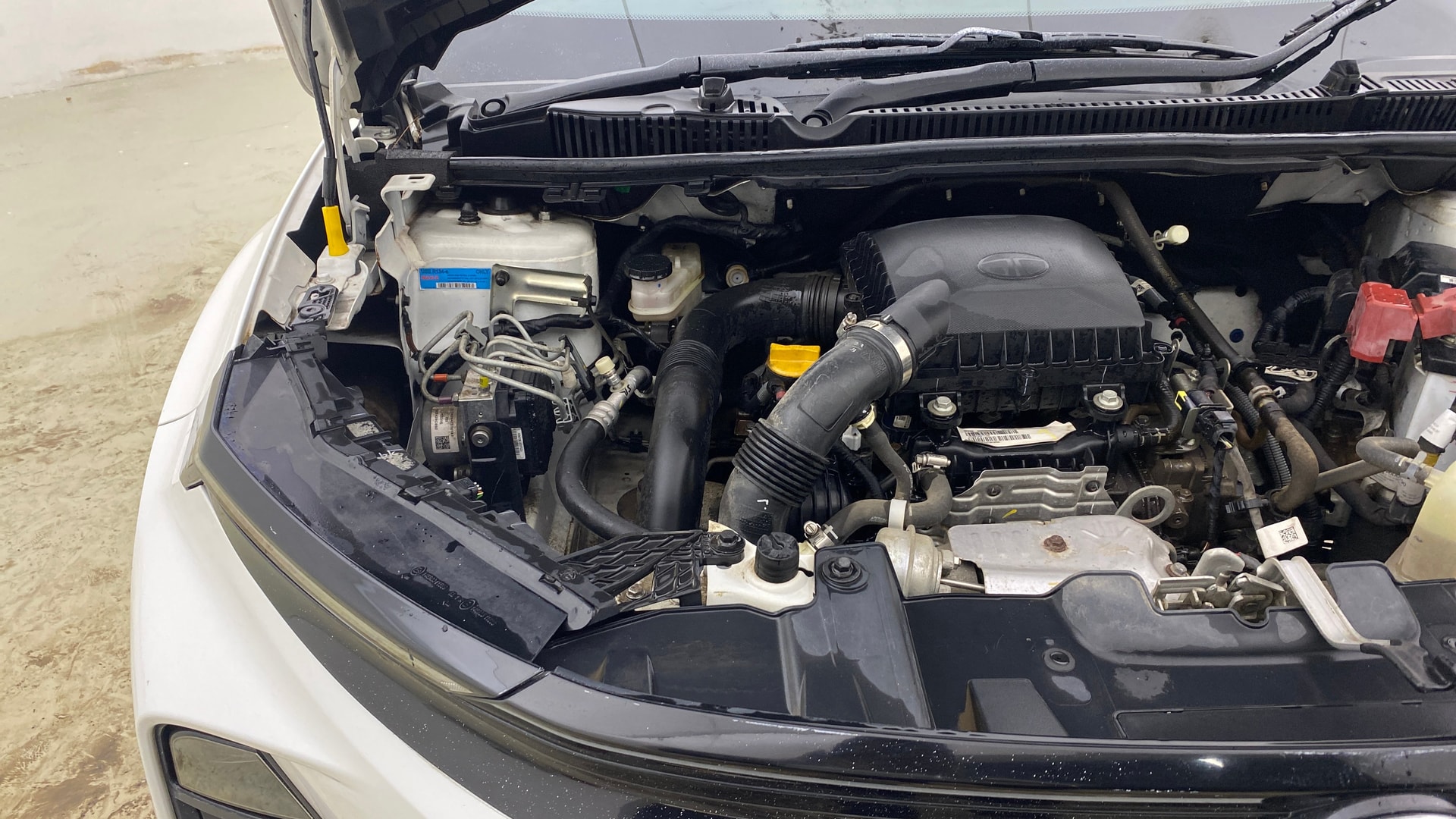 View 2024 Tata Nexon Revotron XE Image 4 Used 2024 Tata Nexon Revotron XE Image 4