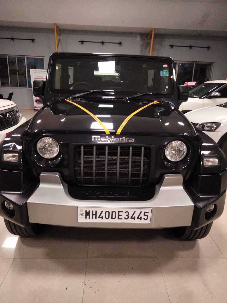 Thar image 6 Thar image 6