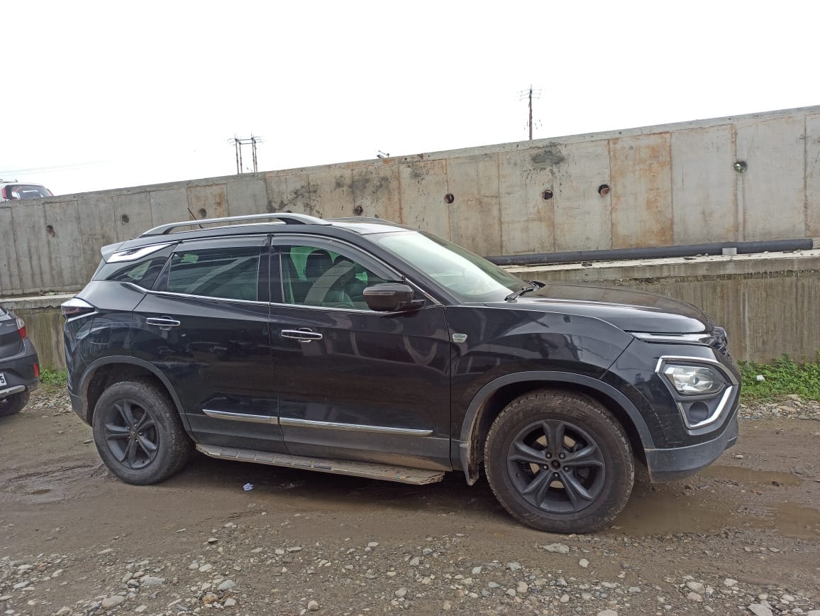 Harrier image 4 Harrier image 4