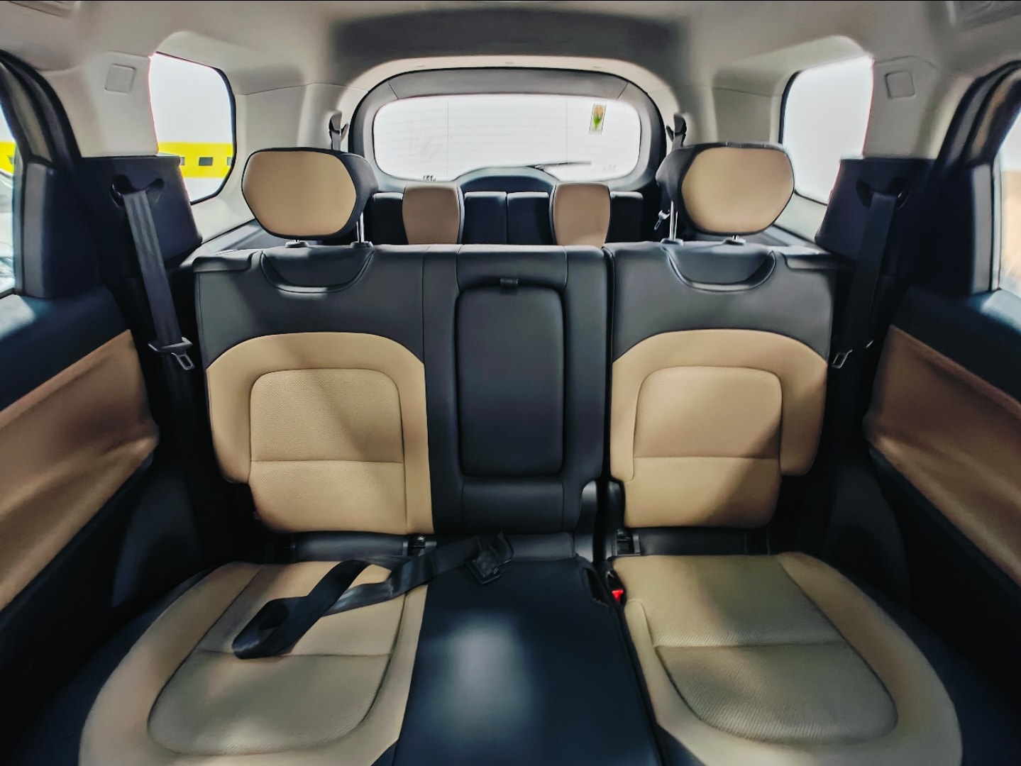 Safari image 15 Safari image 15