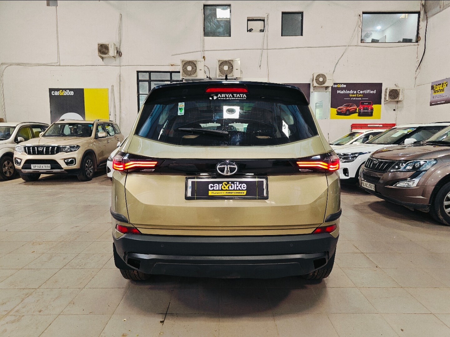 Safari image 4 Safari image 4