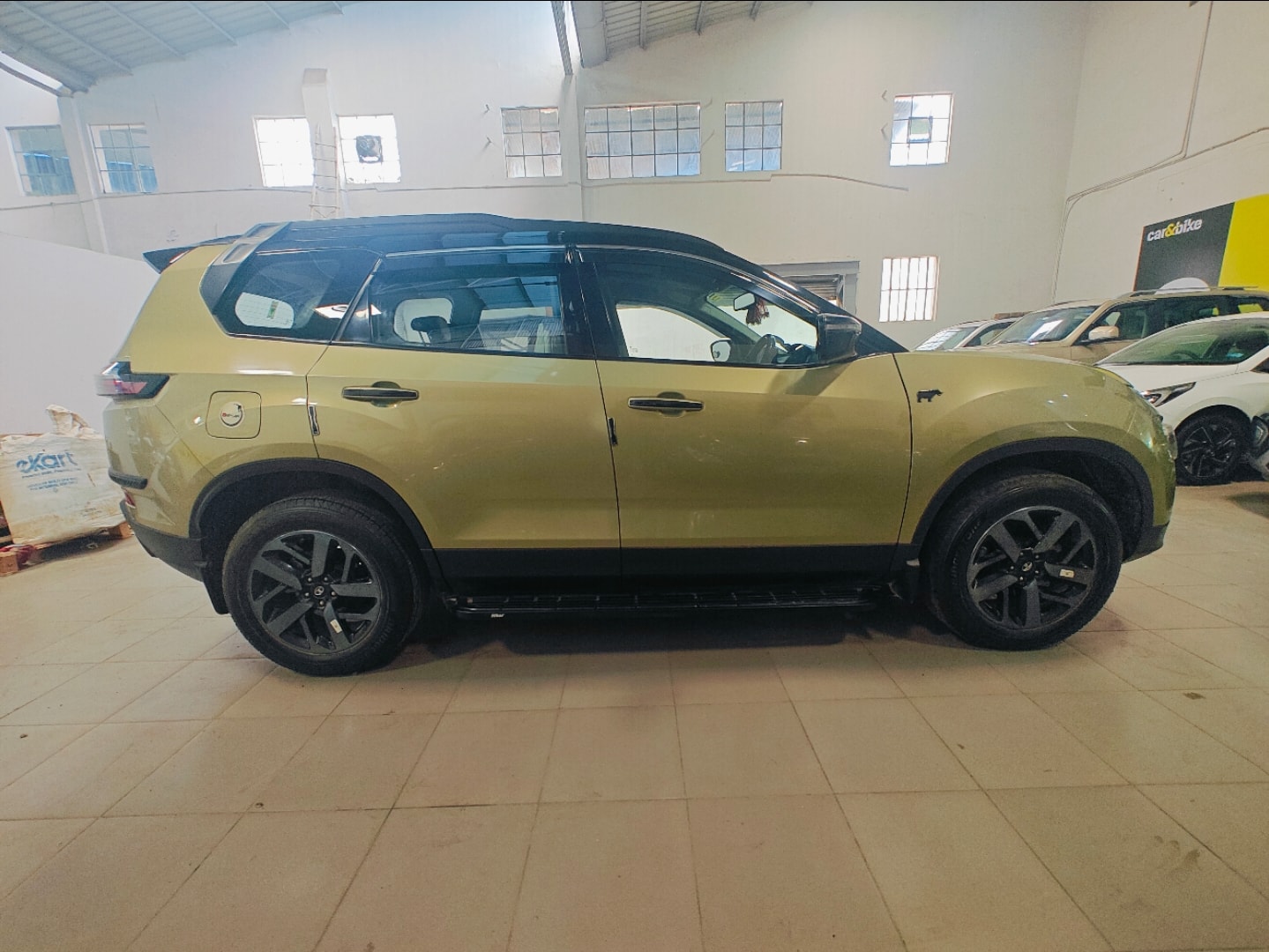 Safari image 6 Safari image 6