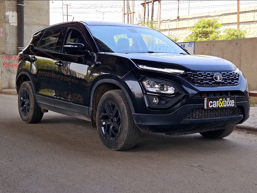 Harrier image 7 Harrier image 7