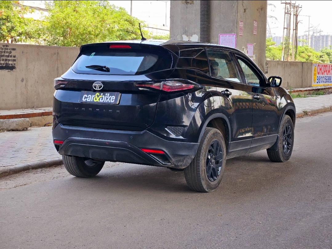 Harrier image 5 Harrier image 5