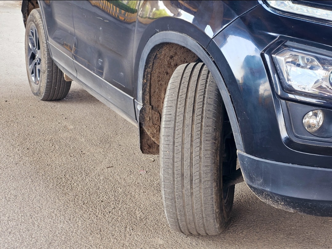 Harrier image 9 Harrier image 9