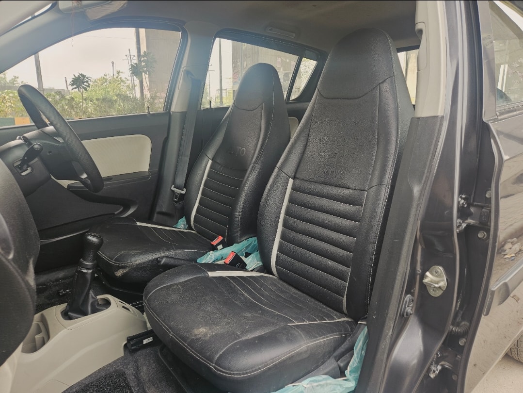 Alto image 14 Alto image 14