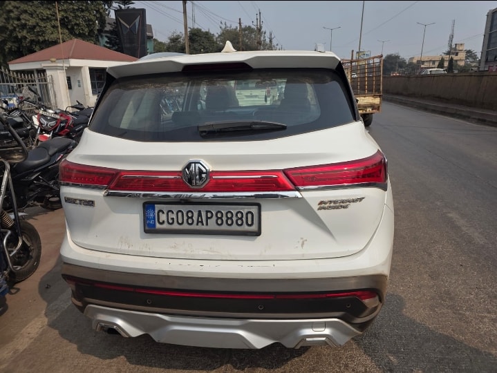 Hector image 1 Hector image 1