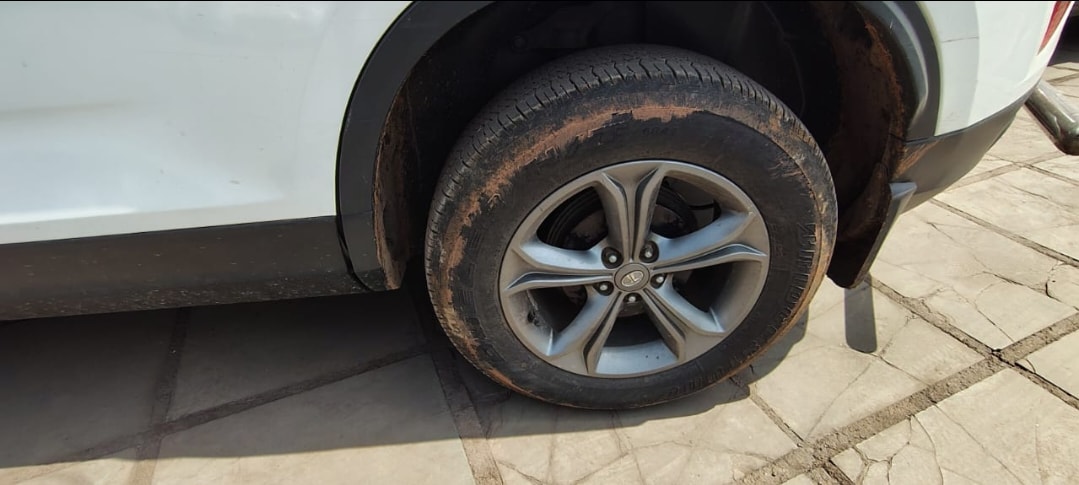 Harrier image 5 Harrier image 5