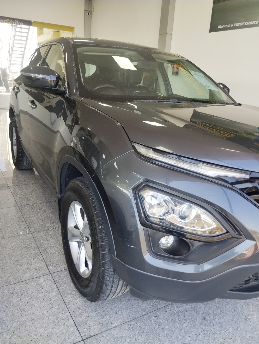 Harrier image 7 Harrier image 7