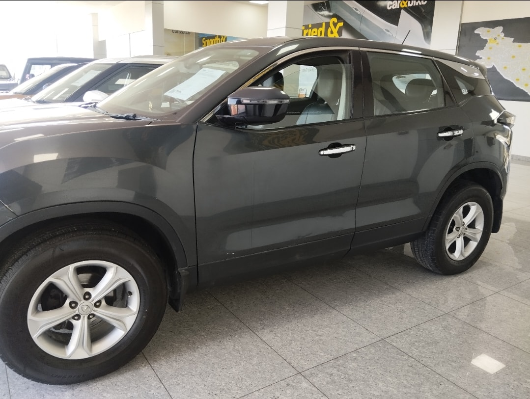 Harrier image 2 Harrier image 2