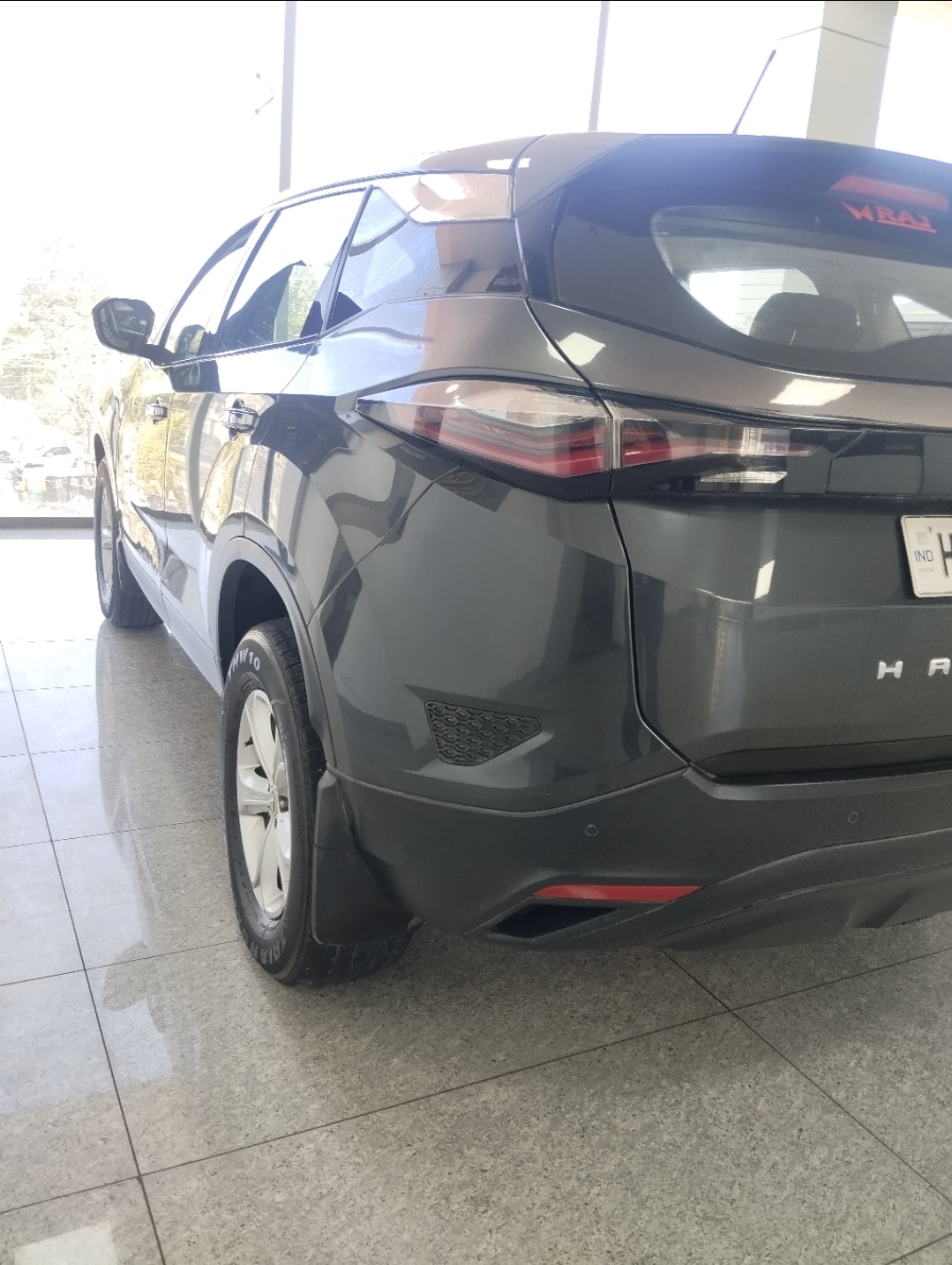 Harrier image 5 Harrier image 5