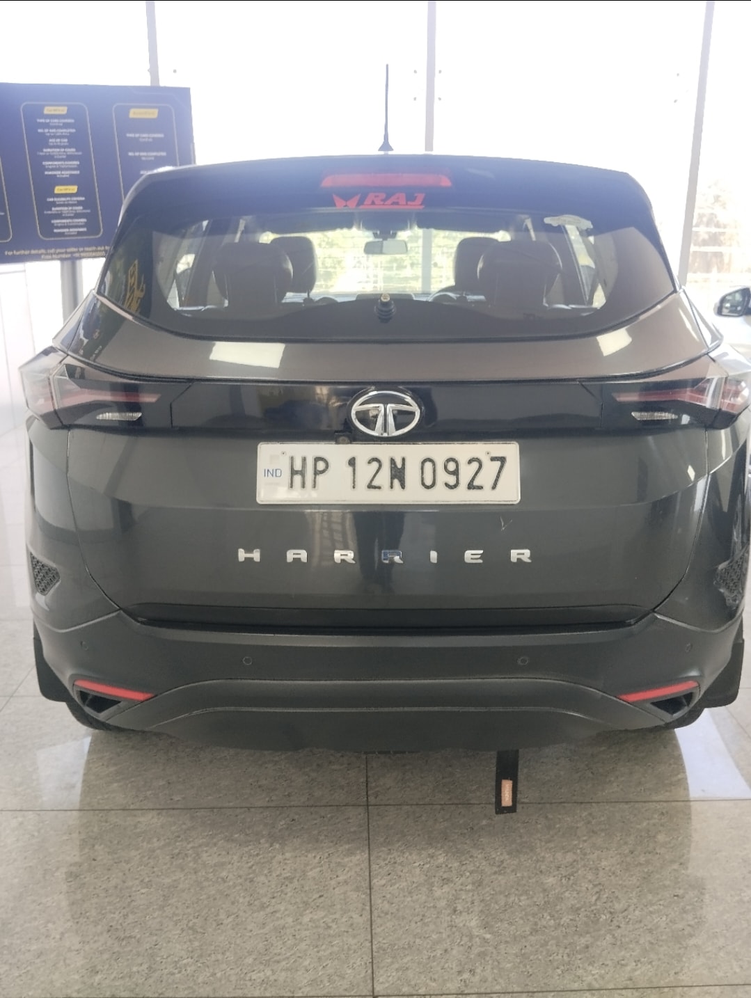 Harrier image 4 Harrier image 4