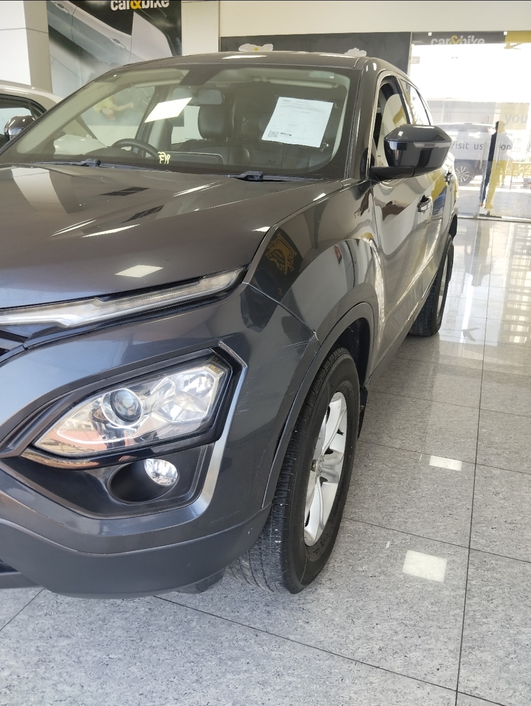 Harrier image 6 Harrier image 6