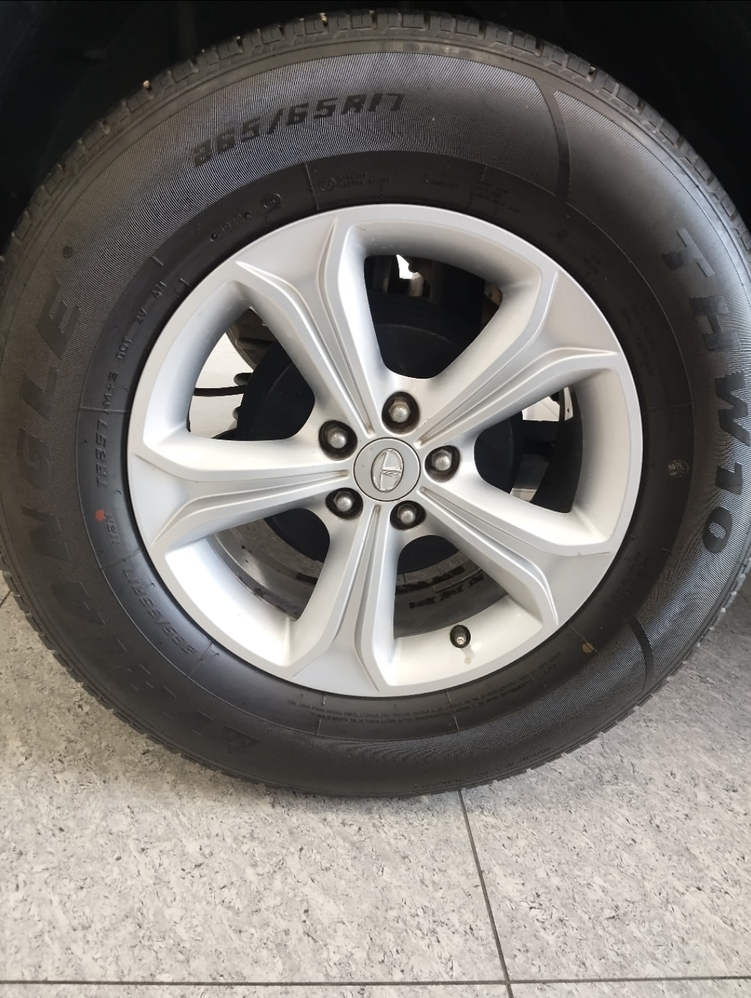 Harrier image 9 Harrier image 9