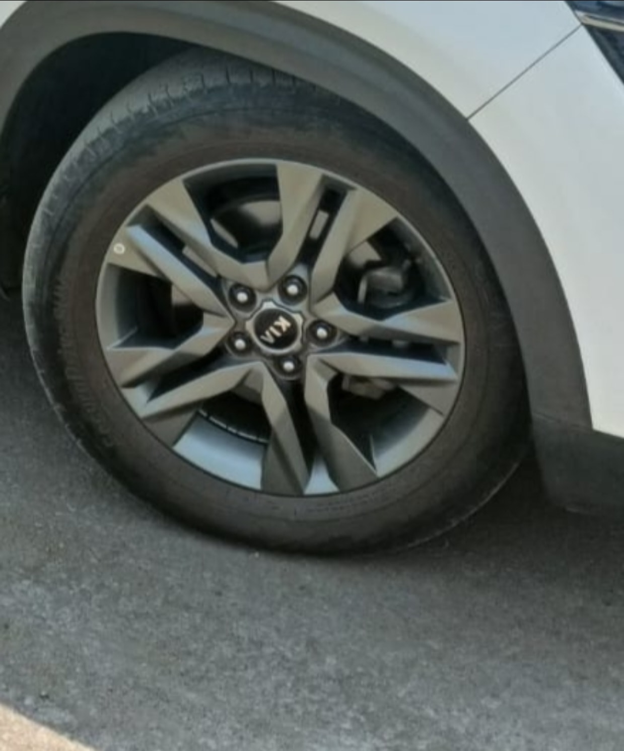 Seltos image 4 Seltos image 4