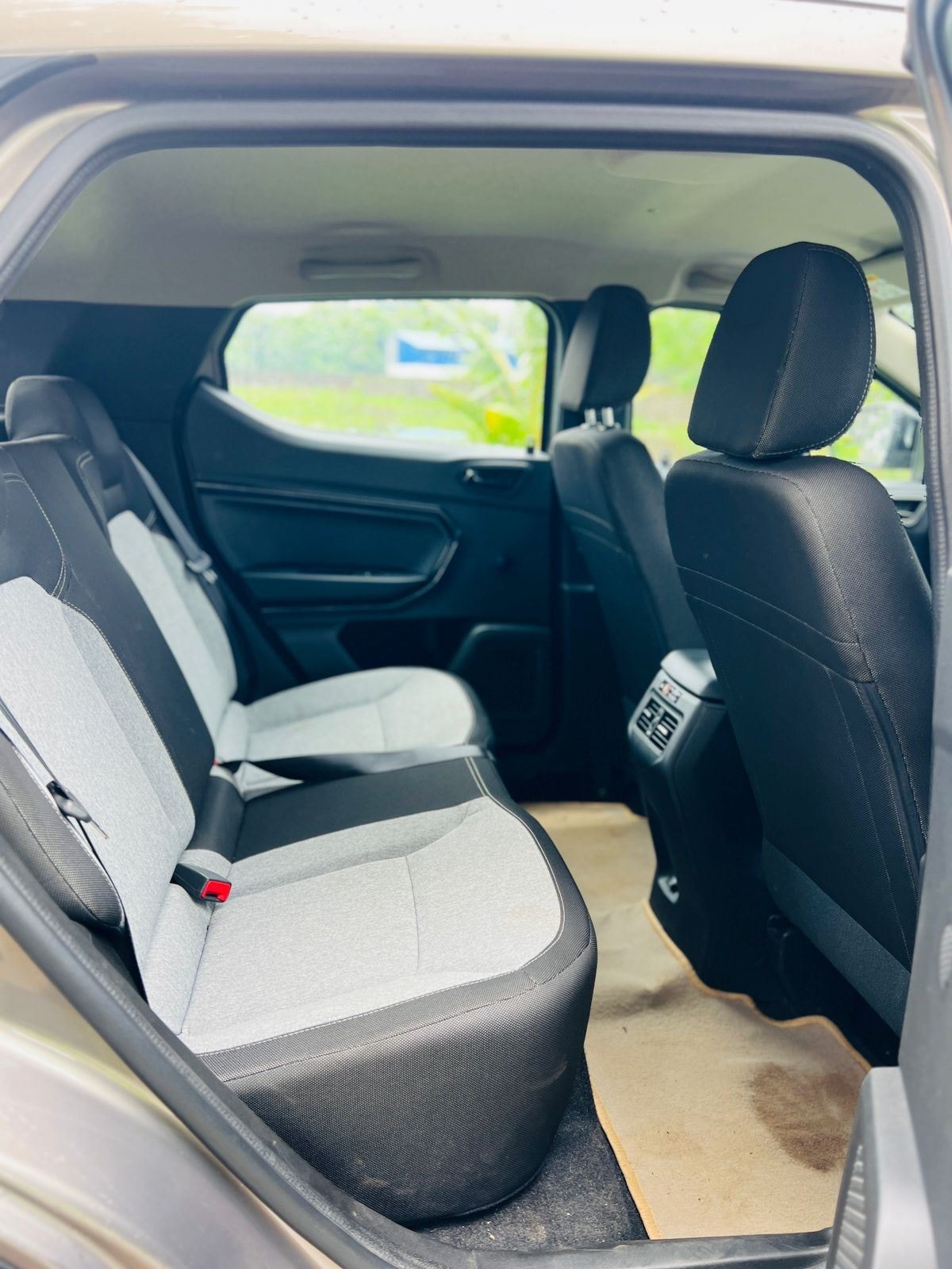 Kiger image 11 Kiger image 11