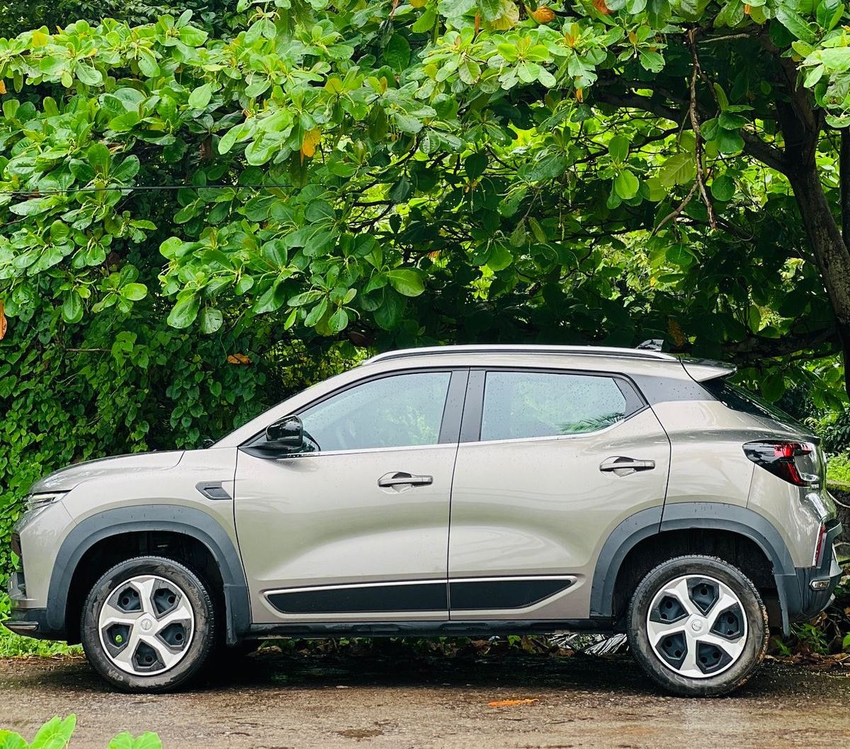 Kiger image 1 Kiger image 1