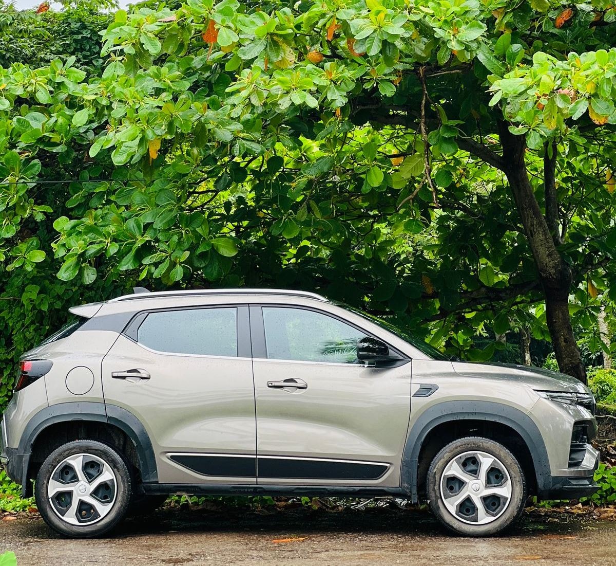 Kiger image 5 Kiger image 5