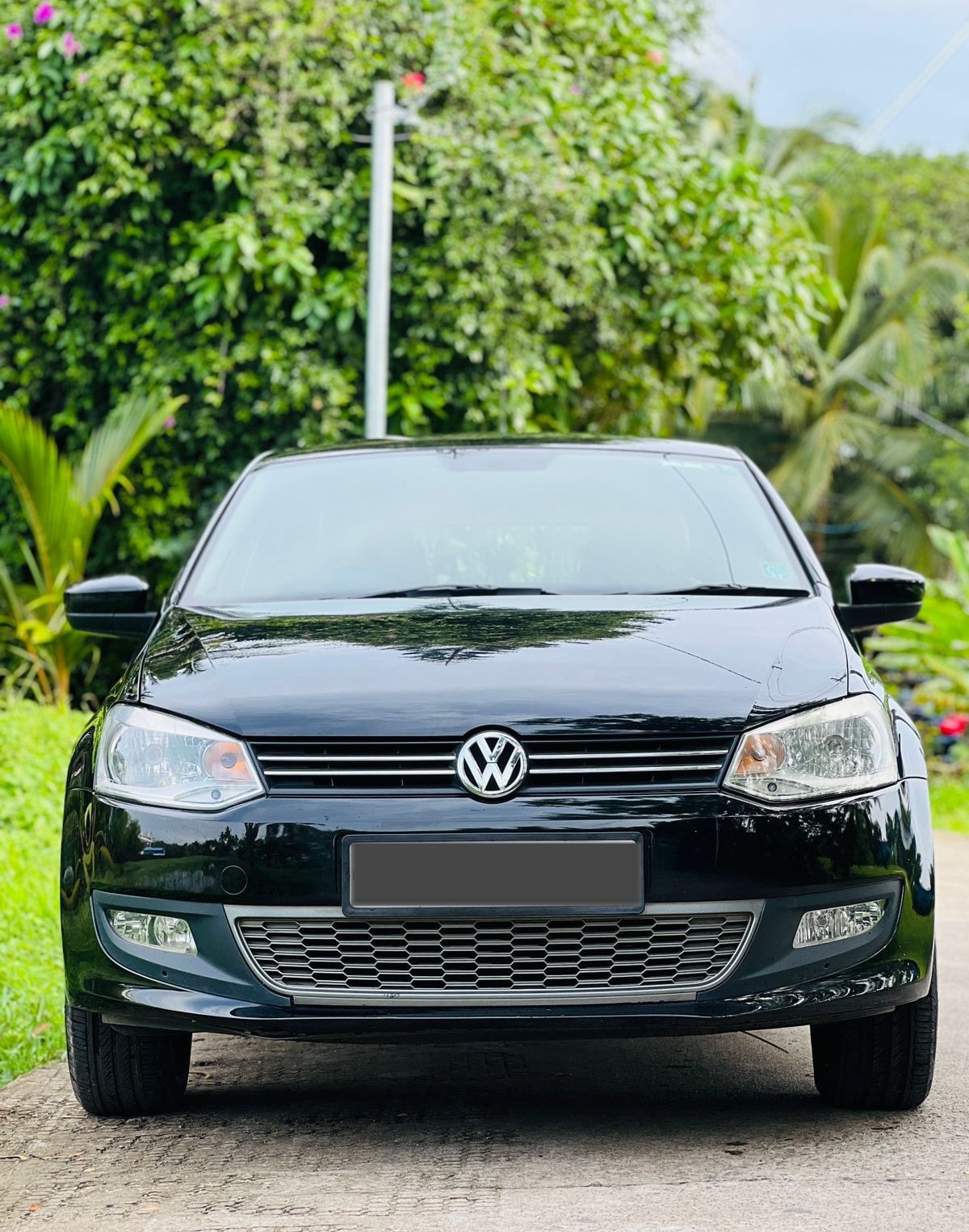 Polo image 1 Polo image 1