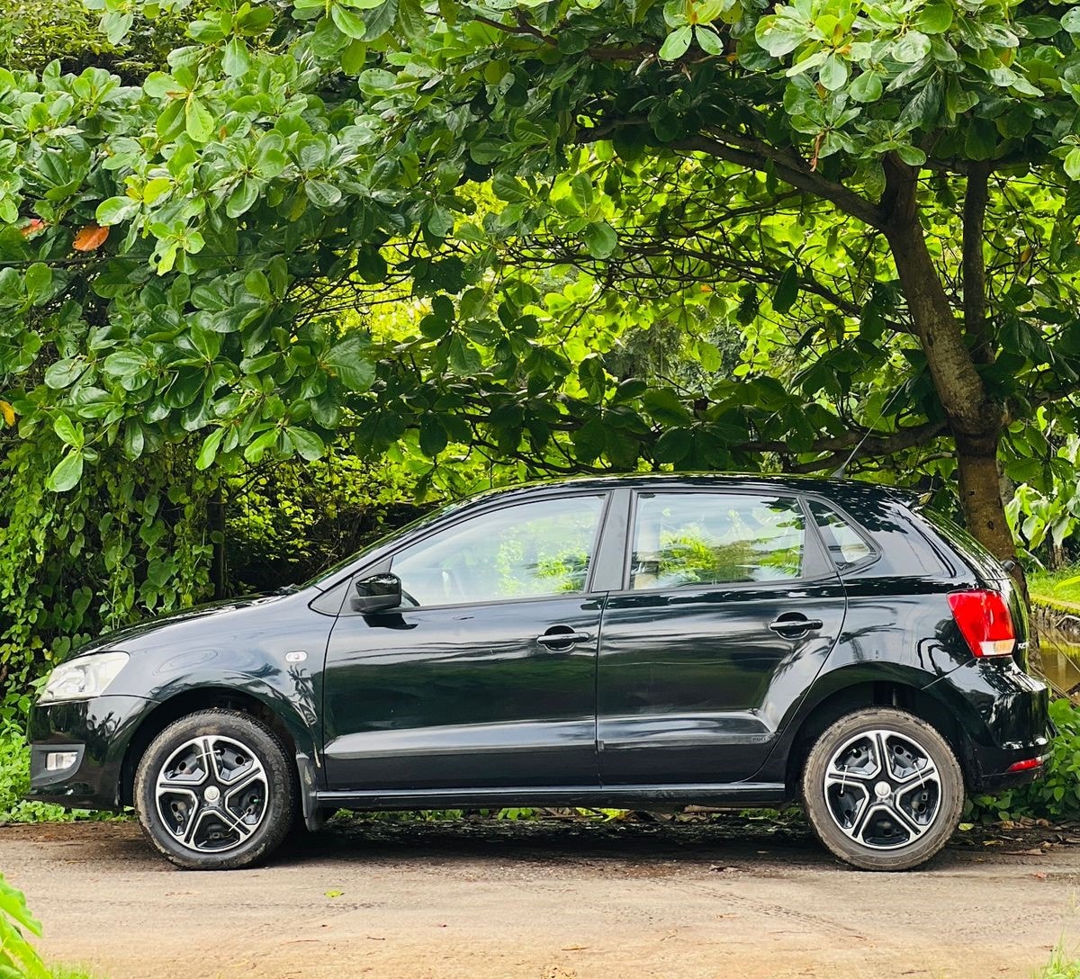 Polo image 2 Polo image 2