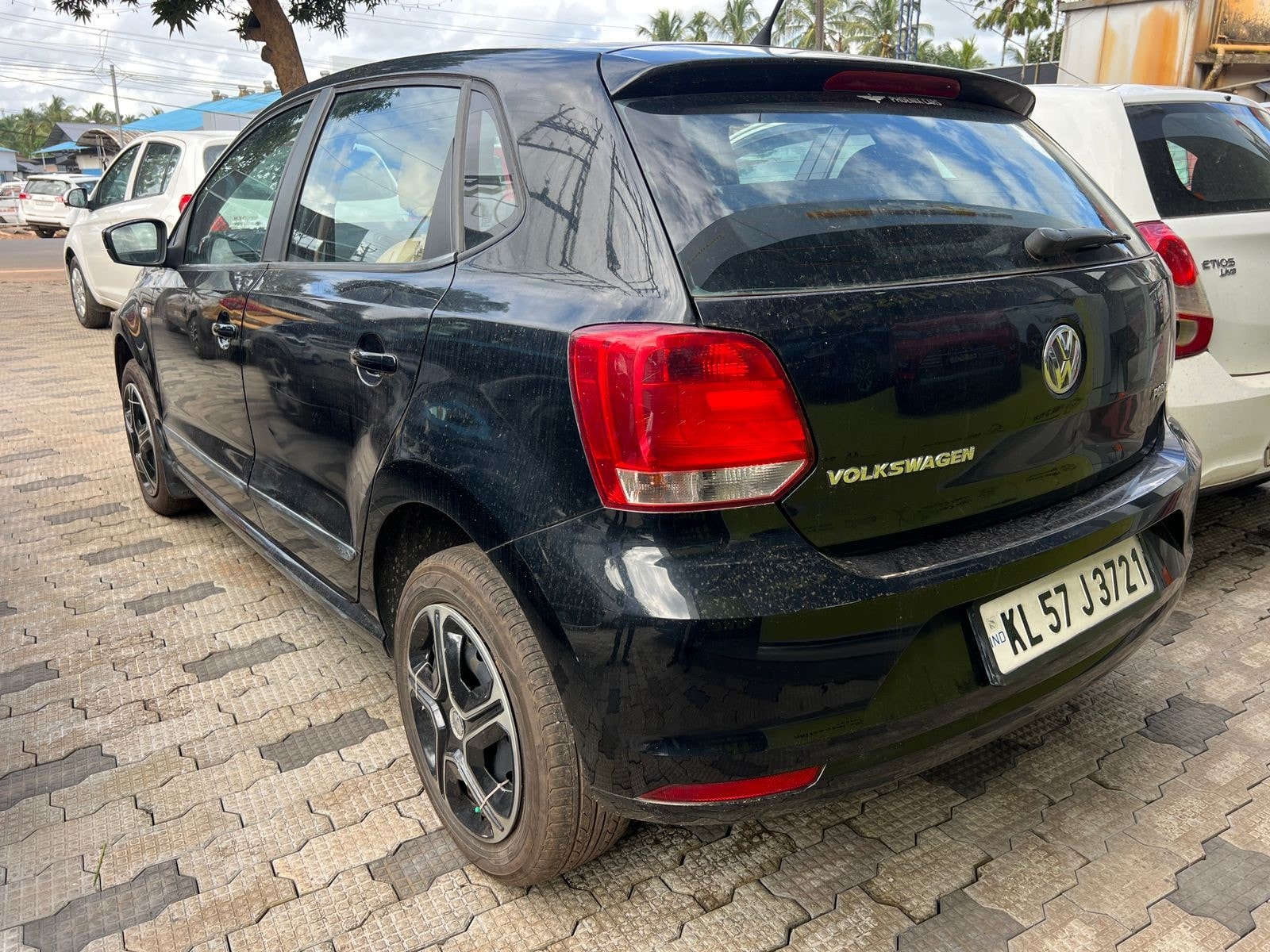 Polo image 3 Polo image 3