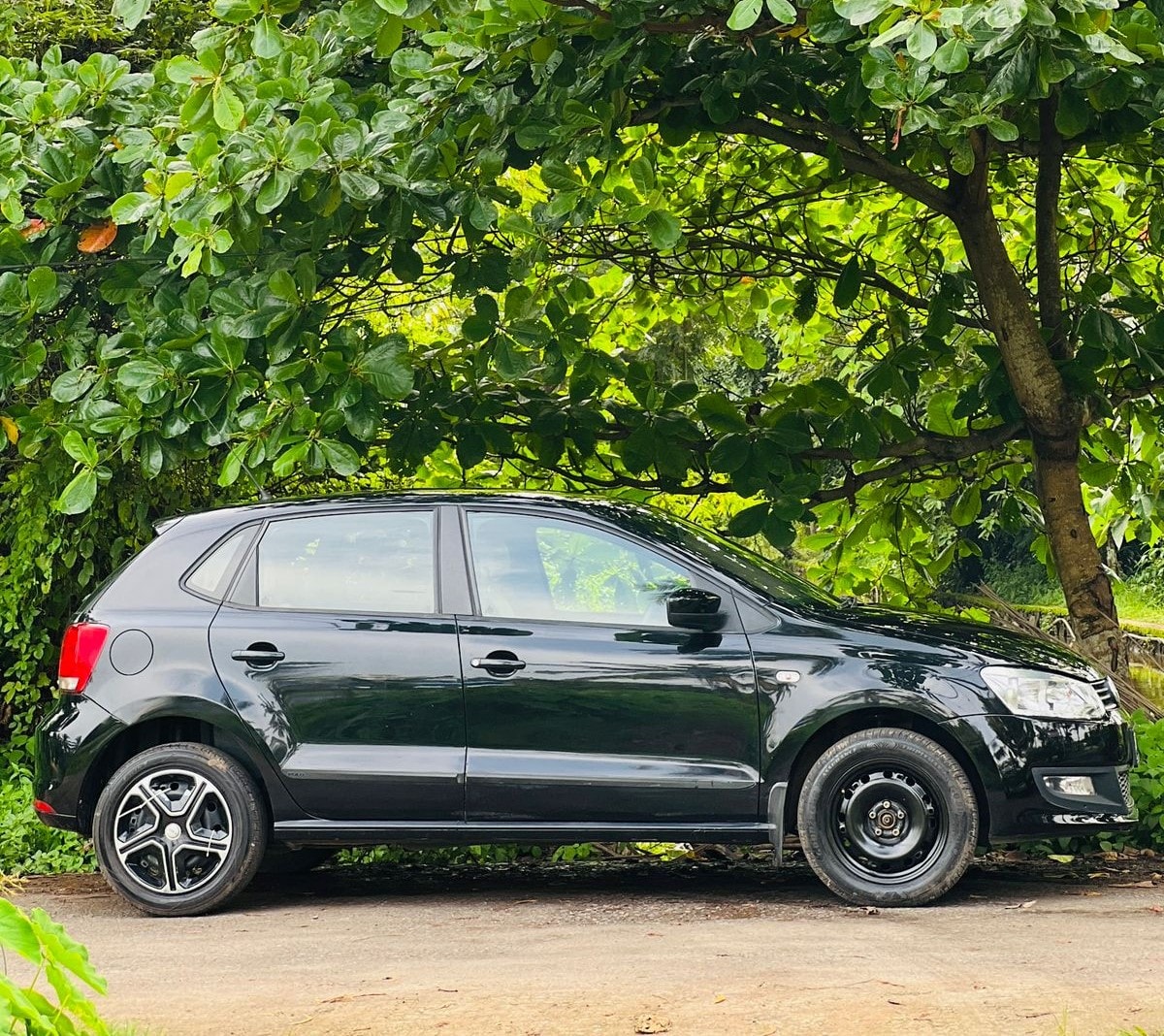 Polo image 6 Polo image 6