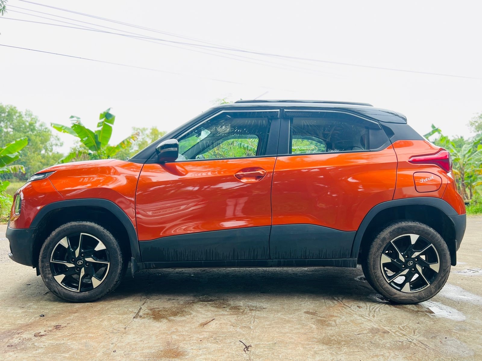 Punch image 1 Punch image 1