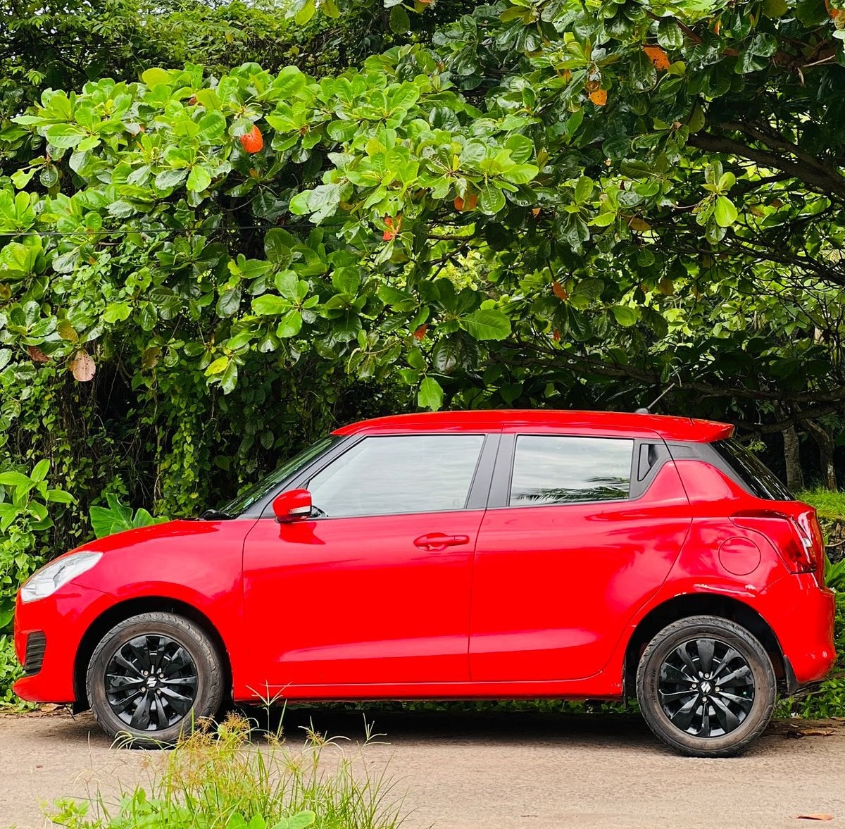 Swift image 2 Swift image 2