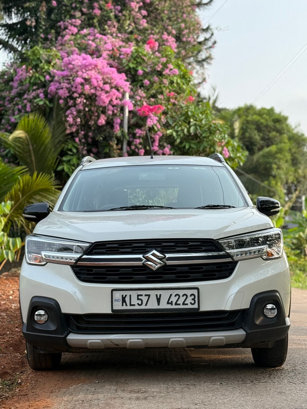 XL6 image 8 XL6 image 8