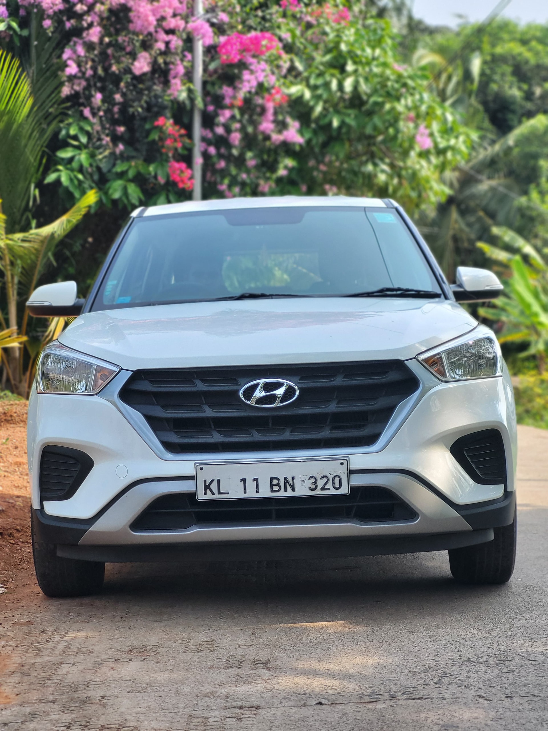 Creta image 8 Creta image 8