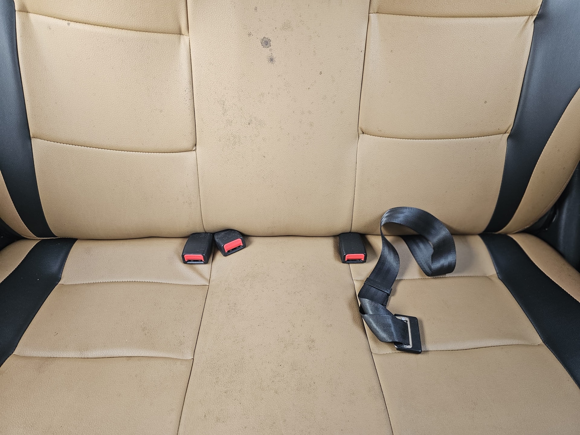 EON image 17 EON image 17