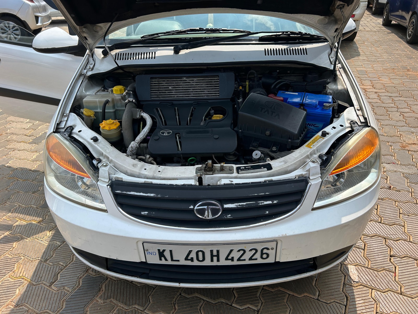 Indica Vista image 7 Indica Vista image 7