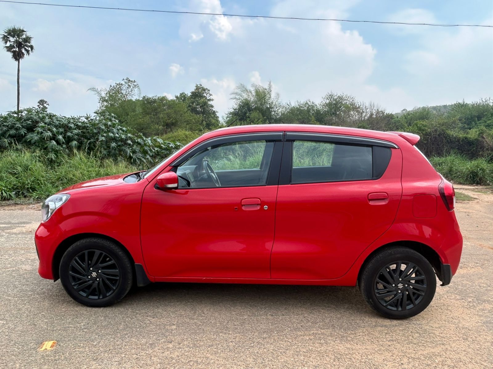 Celerio image 3 Celerio image 3