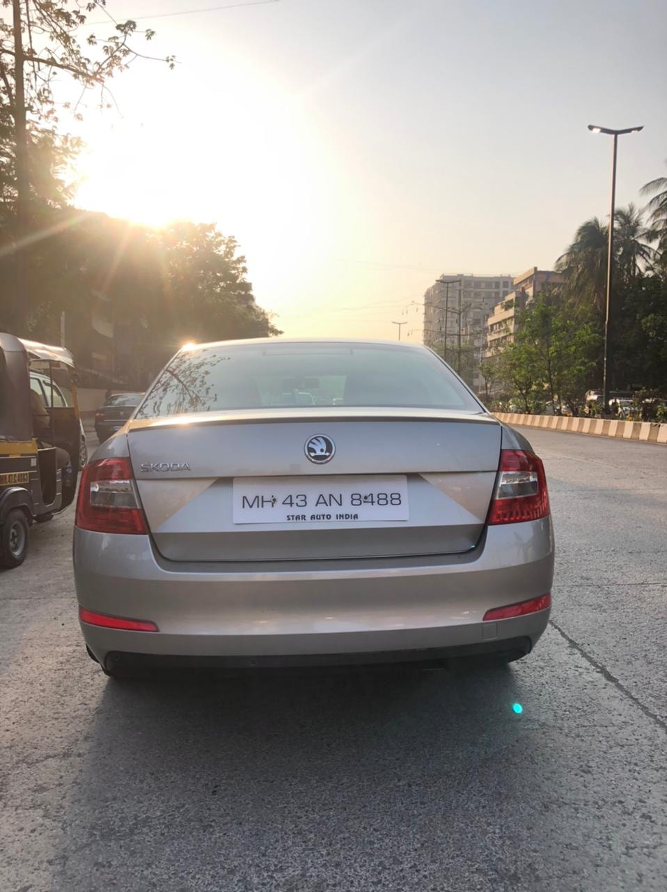 Octavia image 13 Octavia image 13