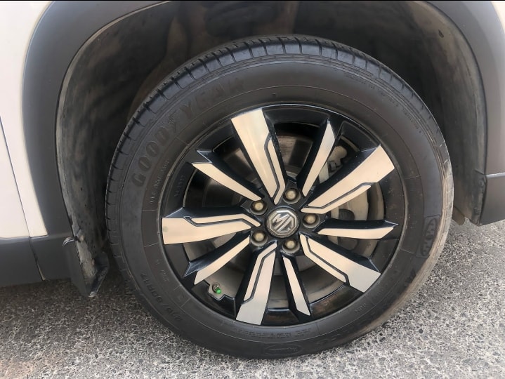 Hector image 10 Hector image 10