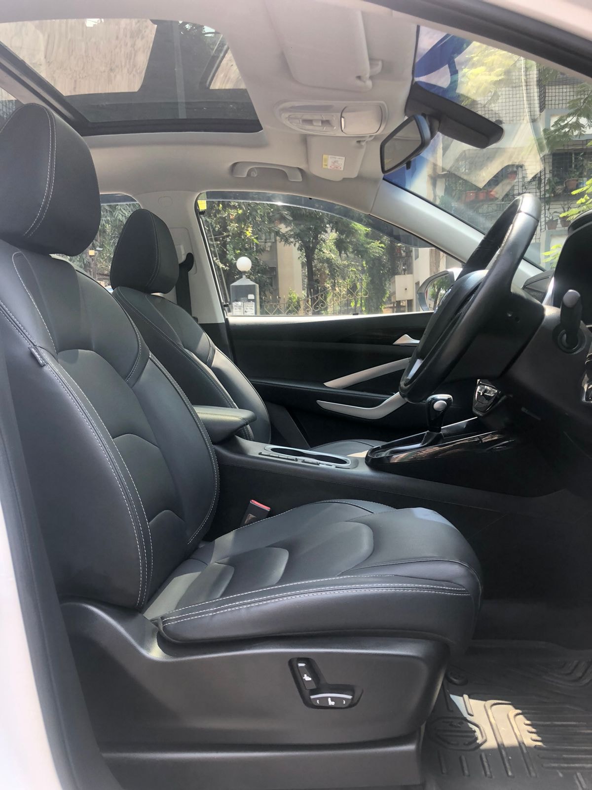 Hector image 15 Hector image 15