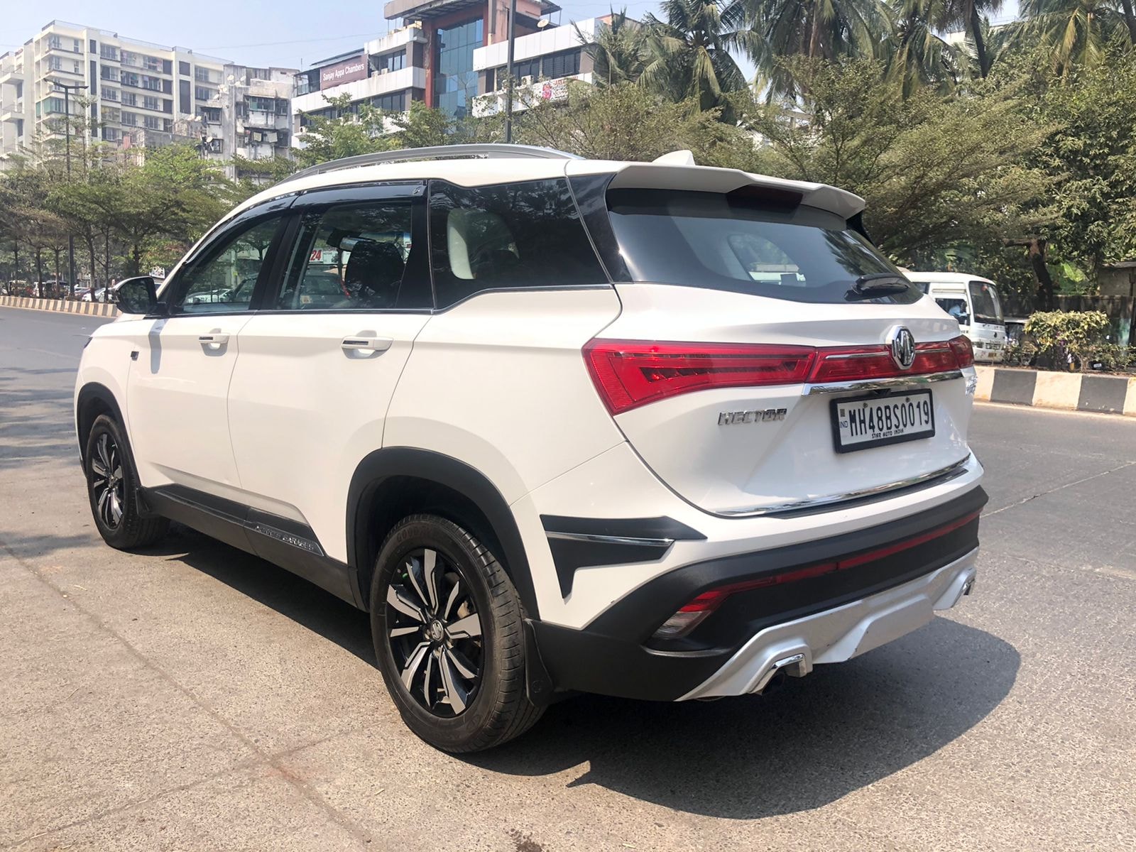 Hector image 5 Hector image 5