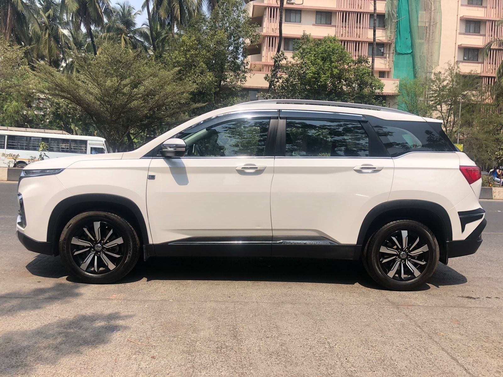 Hector image 8 Hector image 8