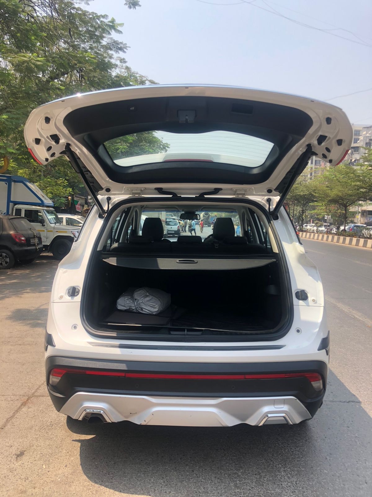 Hector image 9 Hector image 9