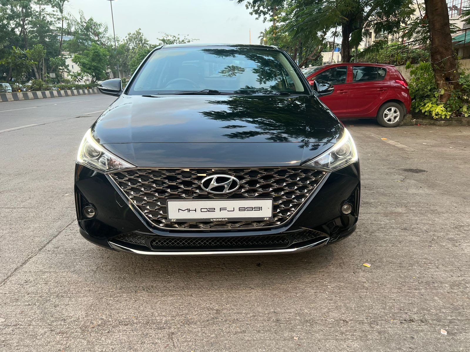 Verna image 3 Verna image 3