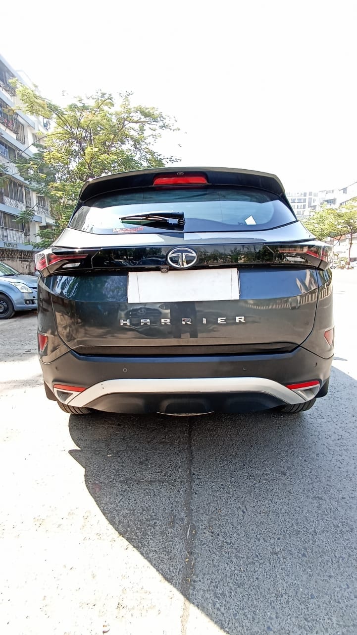 Harrier image 4 Harrier image 4