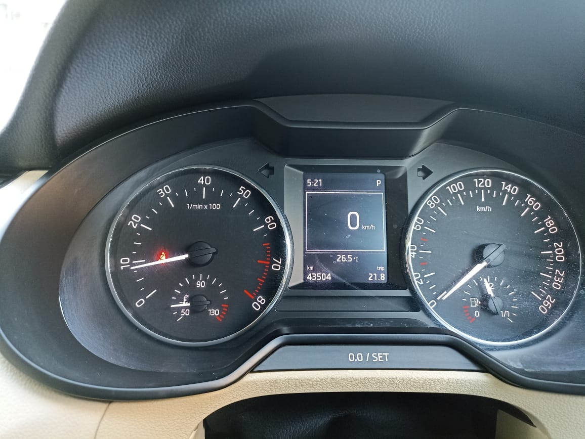 Octavia image 11 Octavia image 11