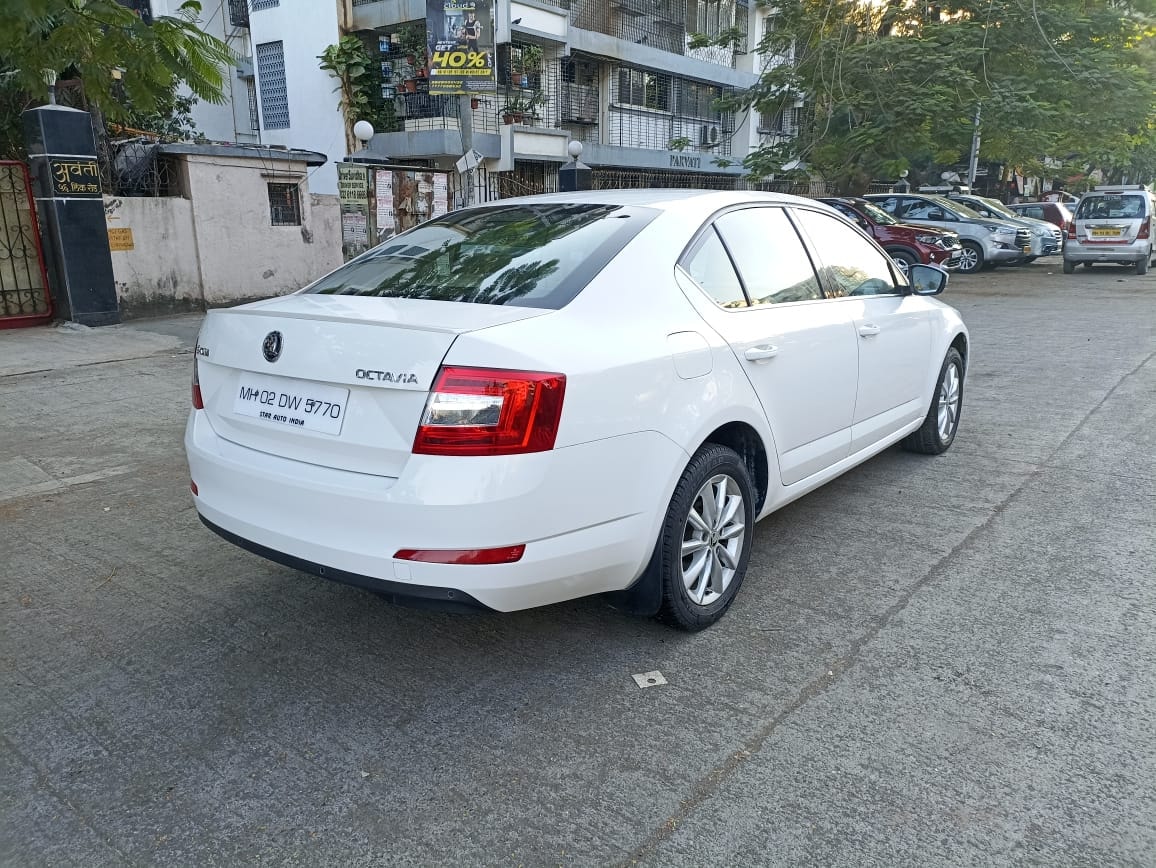 Octavia image 5 Octavia image 5