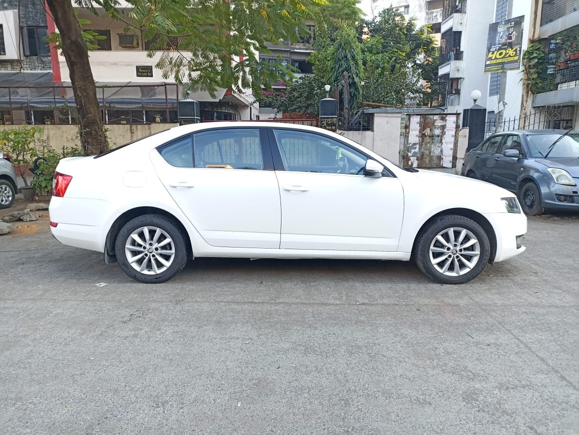 Octavia image 6 Octavia image 6