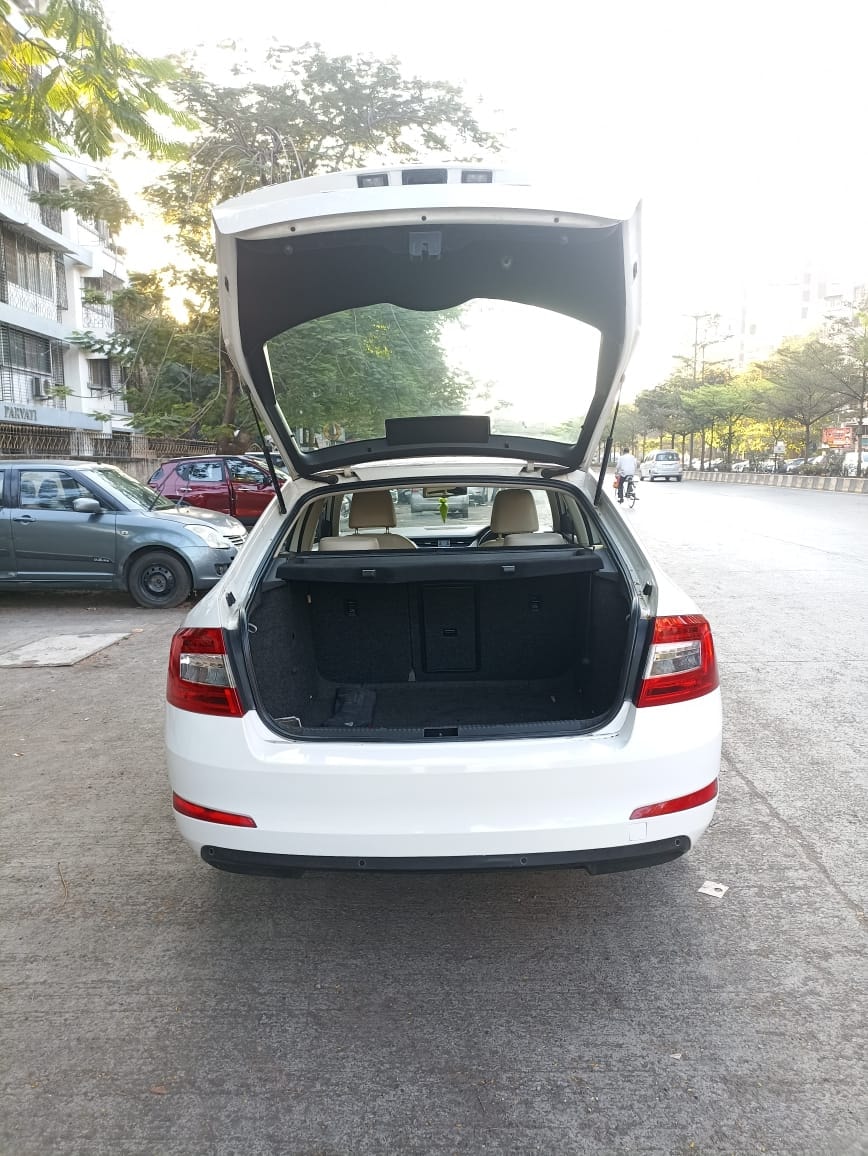 Octavia image 10 Octavia image 10