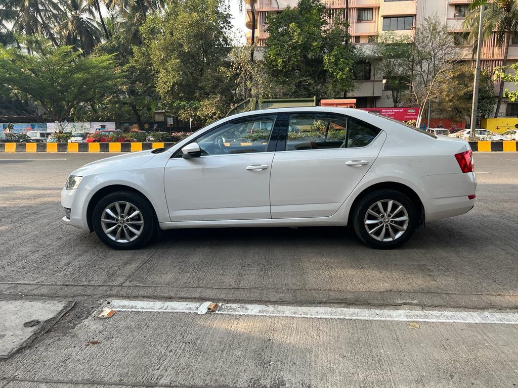 Octavia image 2 Octavia image 2