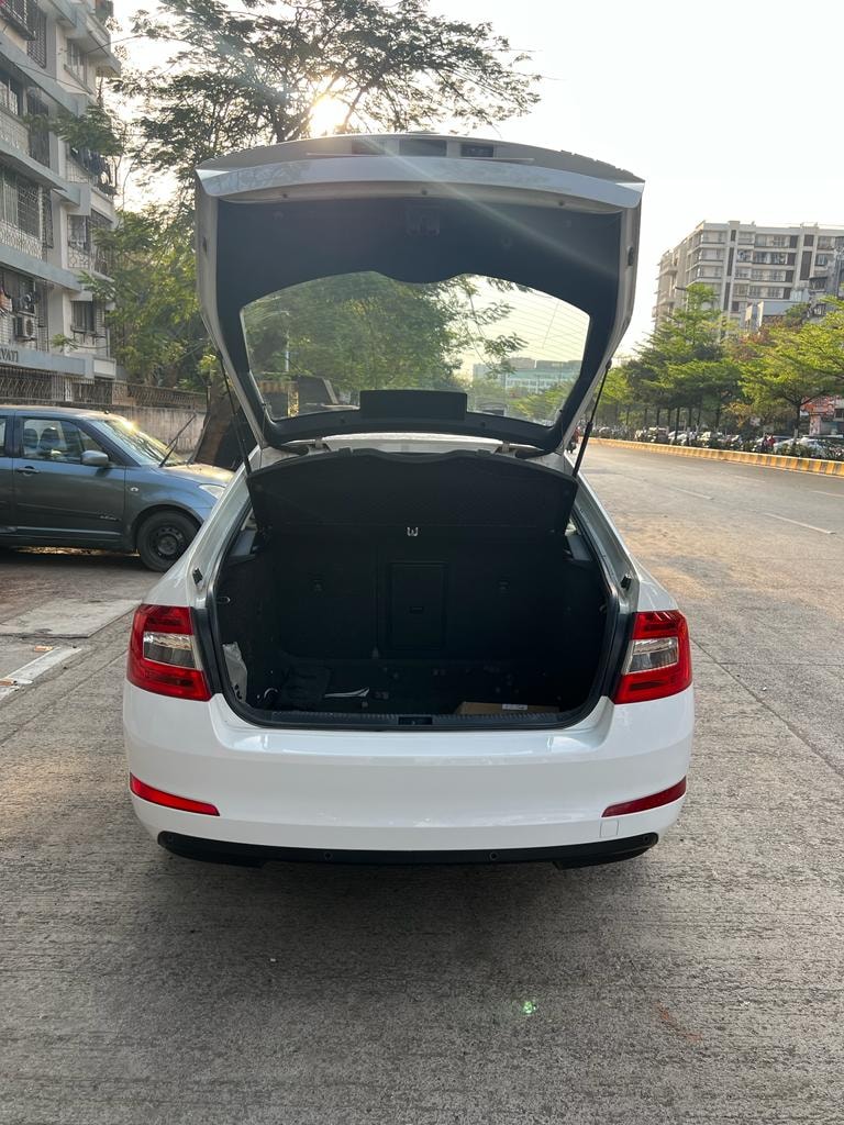 Octavia image 10 Octavia image 10